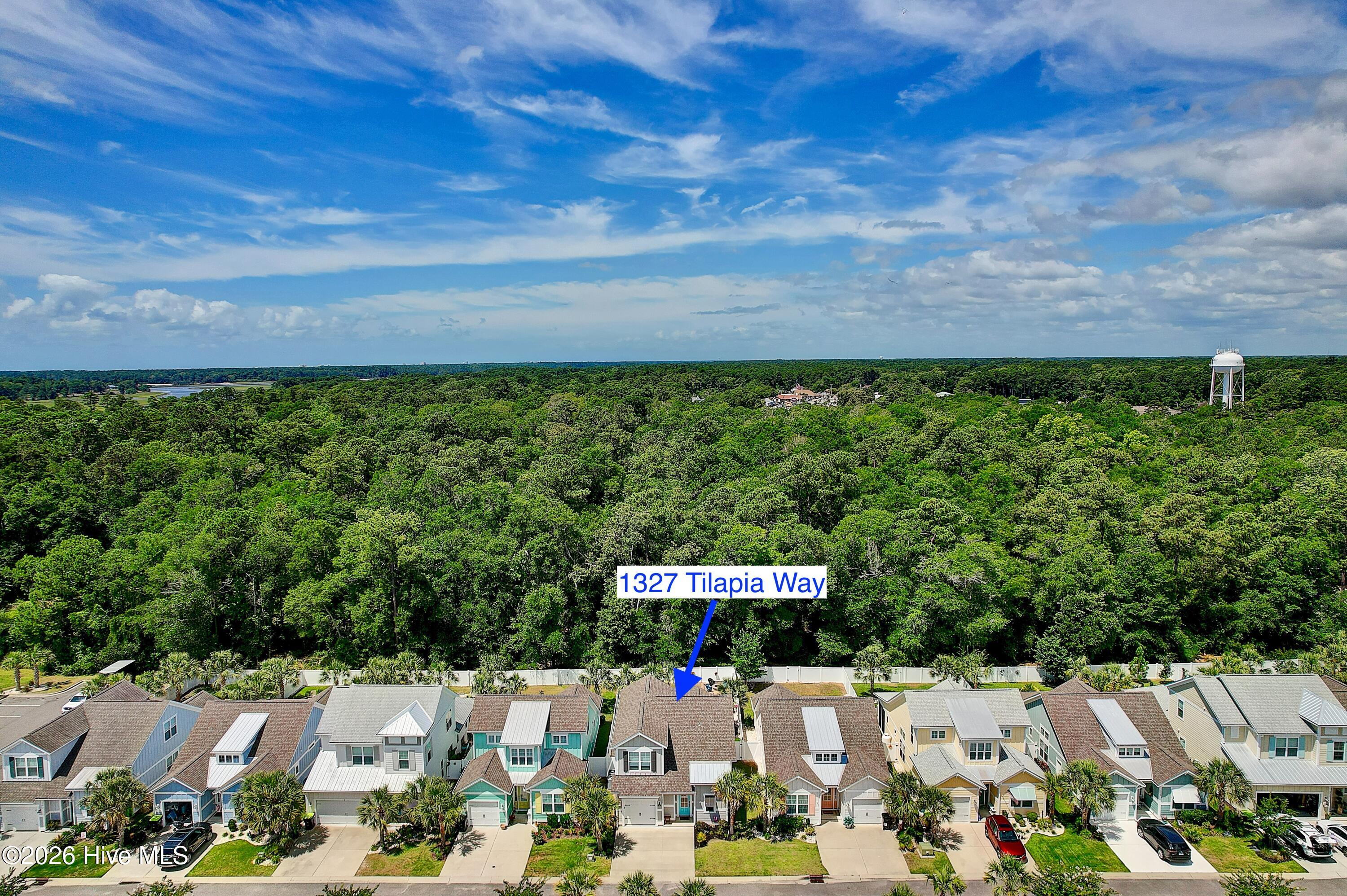 1327 Tilapia Way Calabash, NC 28467 - Photo 43 of 91 Aerial location