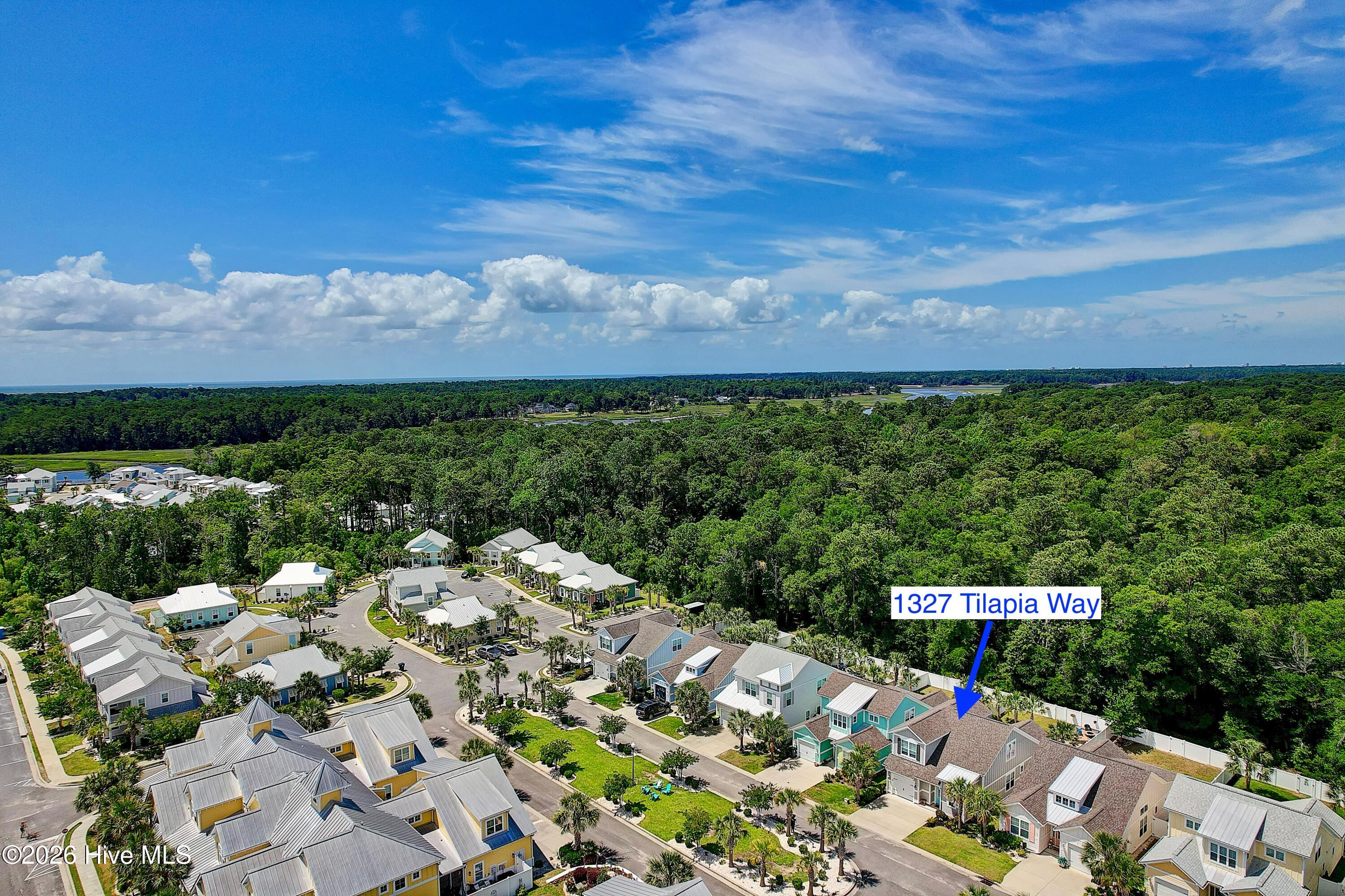 1327 Tilapia Way Calabash, NC 28467 - Photo 44 of 91 Aerial location