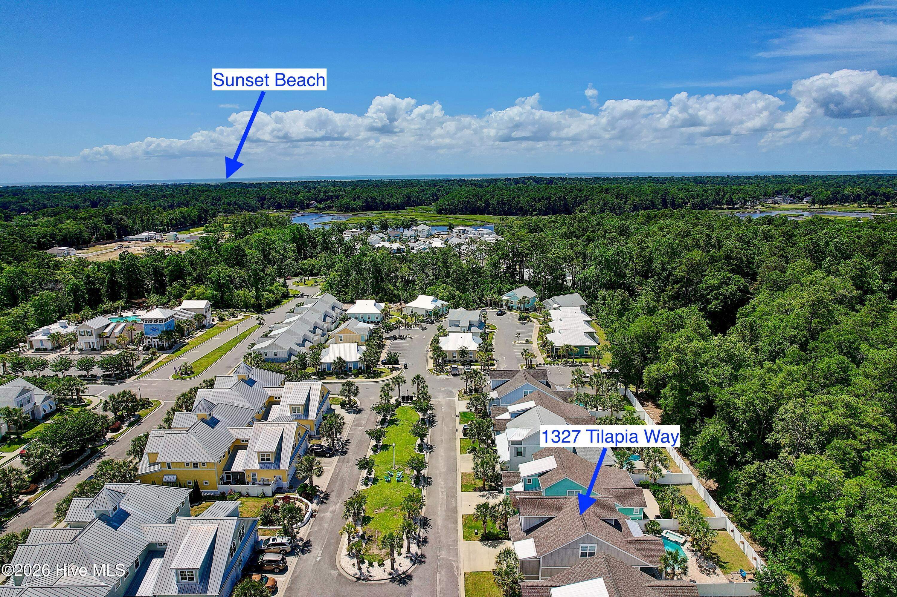 1327 Tilapia Way Calabash, NC 28467 - Photo 45 of 91 Aerial location