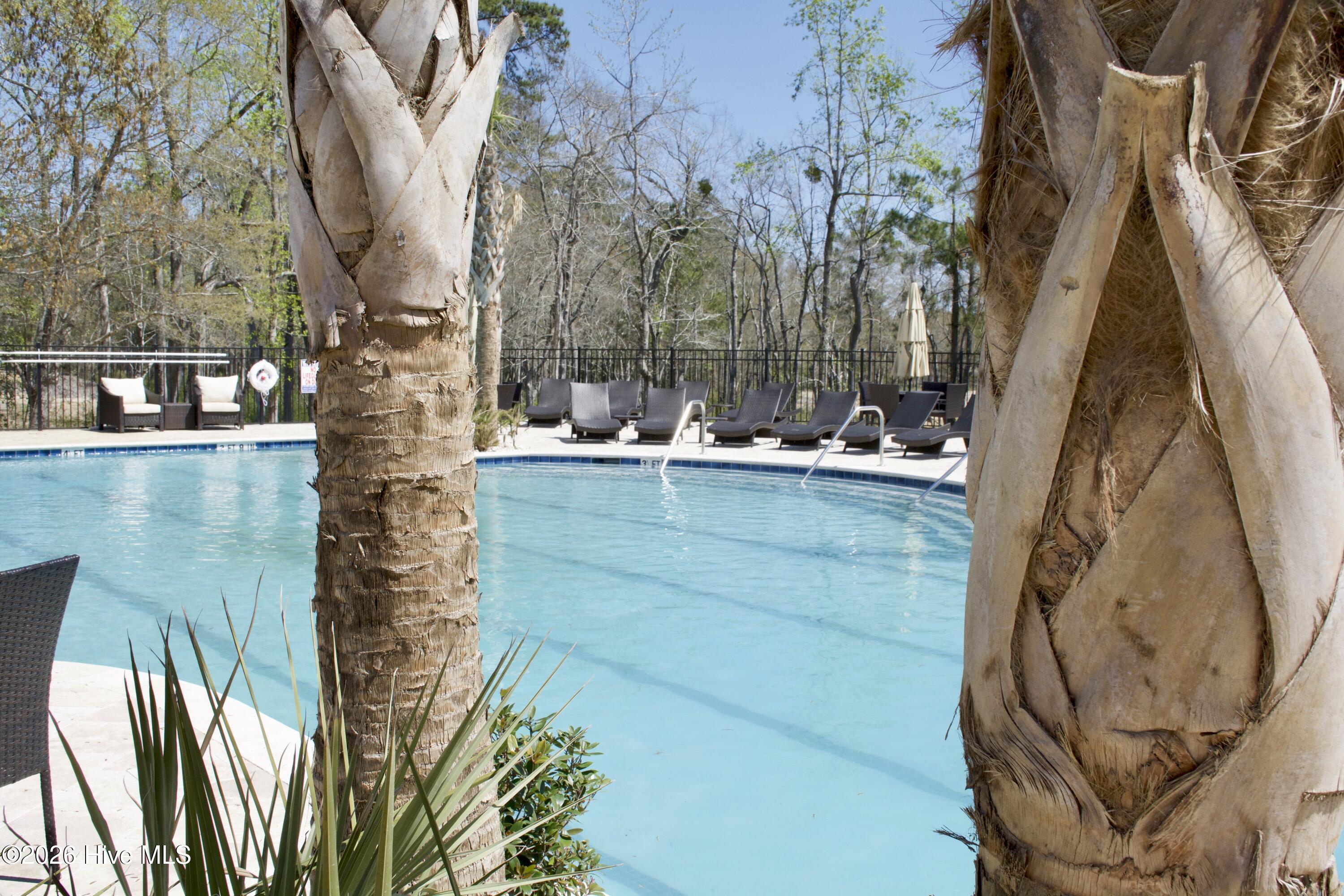 1327 Tilapia Way Calabash, NC 28467 - Photo 70 of 91 Community pool