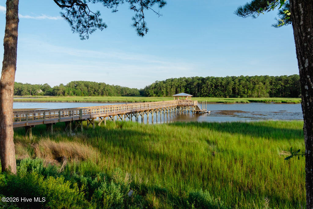 1327 Tilapia Way Calabash, NC 28467 - Photo 76 of 91 community-pier
