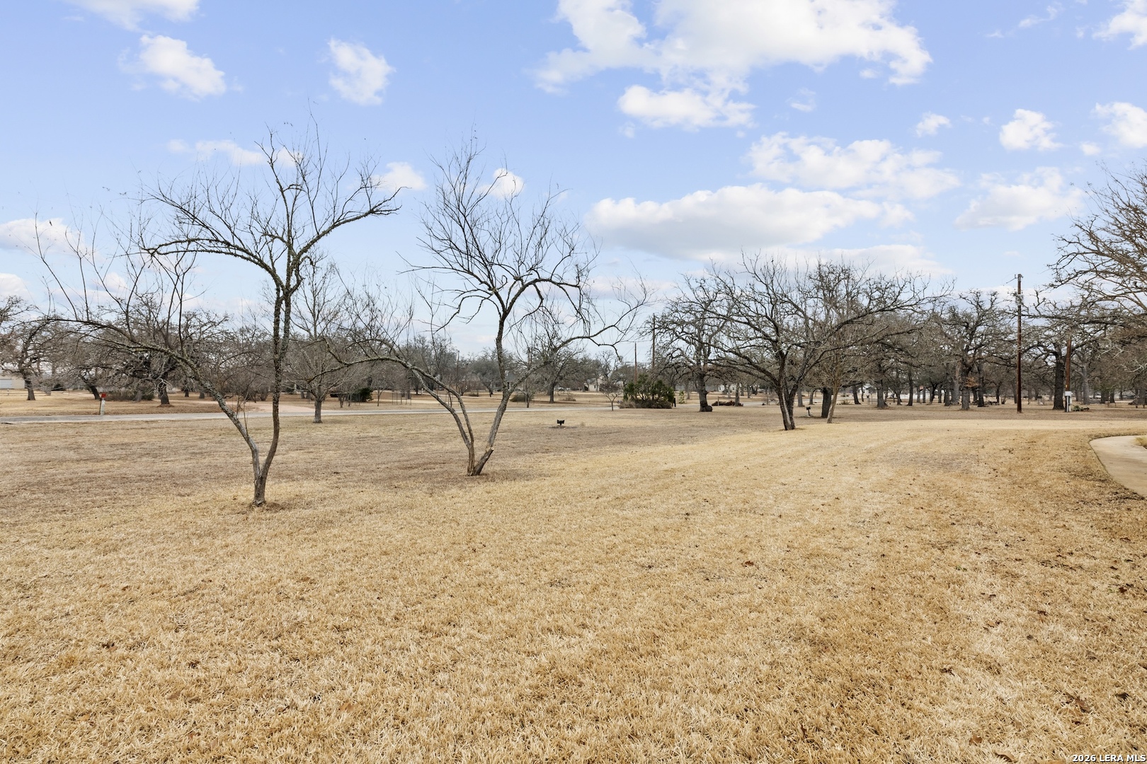 237 Emerald Loop Fredericksburg, TX 78624 - Photo 16 of 38