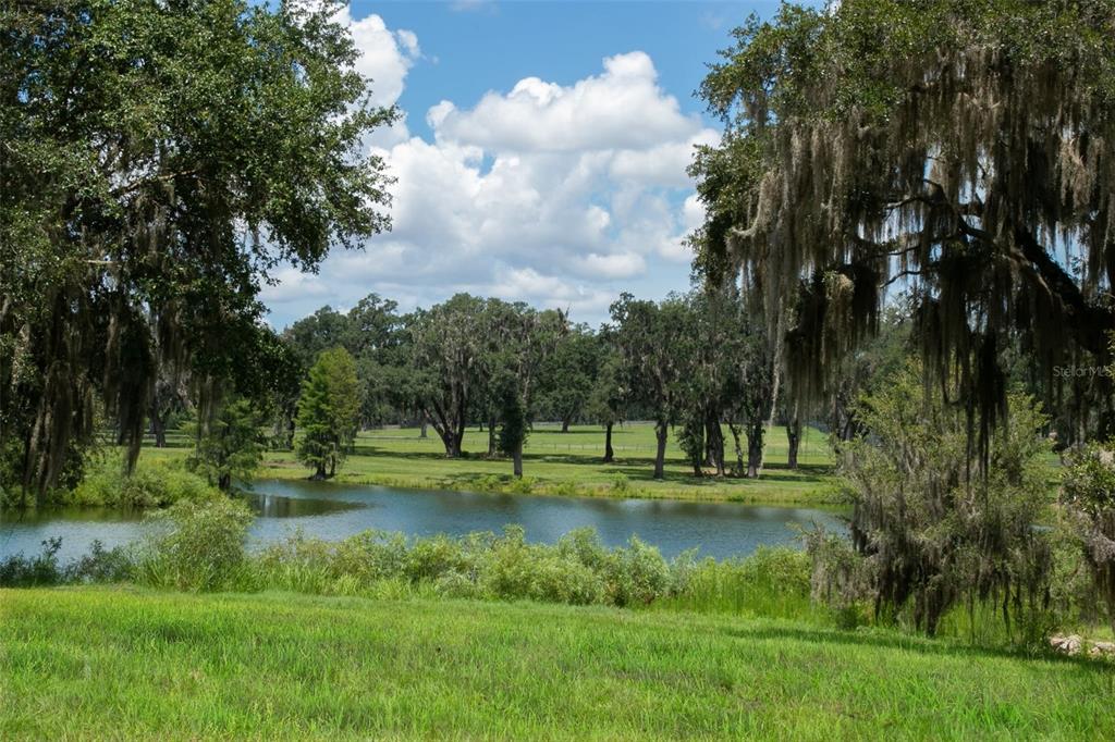5540 Southeast 157th Street Road Summerfield, FL 34491 - Photo 12 of 26