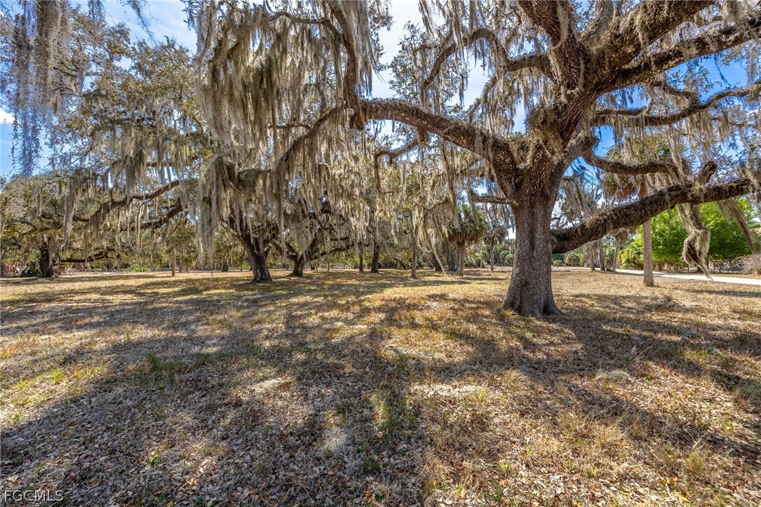 2032 Ortona Locks Road Moore Haven, FL 33471 - Photo 30 of 48 a view of outdoor space with trees