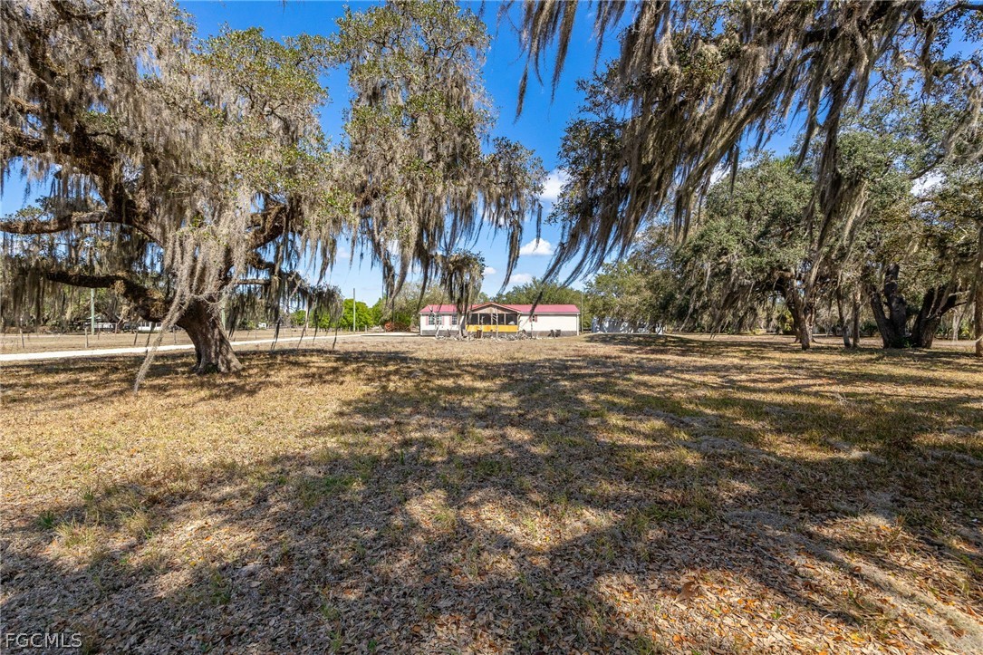 2032 Ortona Locks Road Moore Haven, FL 33471 - Photo 32 of 48 a view of road with trees