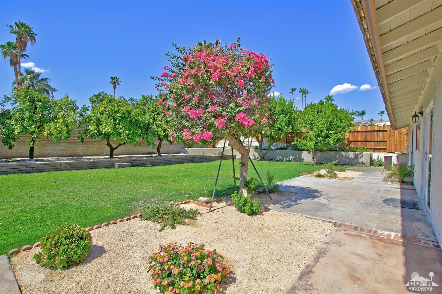 73733 Haystack Road Palm Desert, CA 92260 - Photo 24 of 36 a view of a garden with flowers and cars
