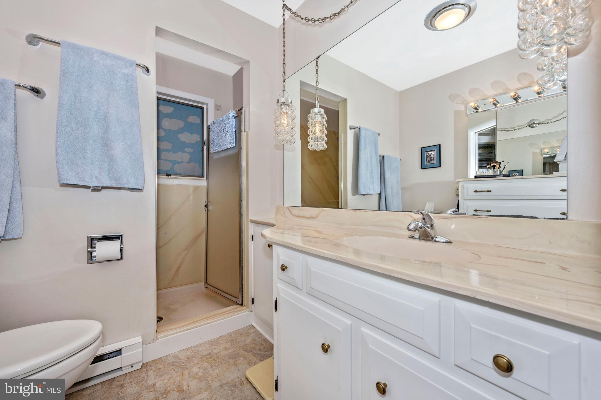 23036 Foxville Road Smithsburg, MD 21783 - Photo 27 of 135 master bath