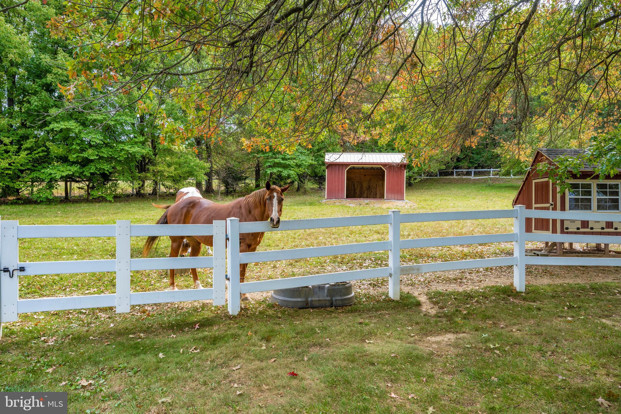 23036 Foxville Road Smithsburg, MD 21783 - Photo 53 of 135 rear paddock area