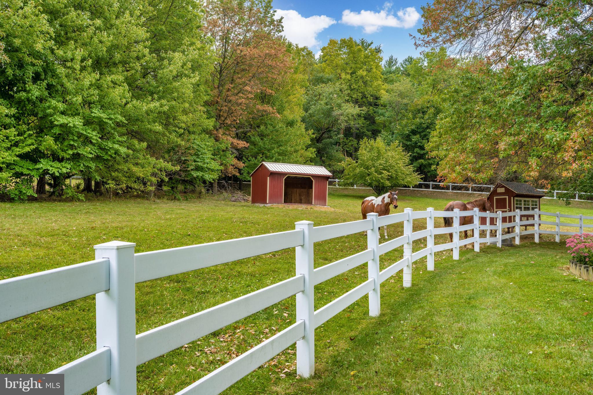 23036 Foxville Road Smithsburg, MD 21783 - Photo 79 of 135 Gallery Image 79