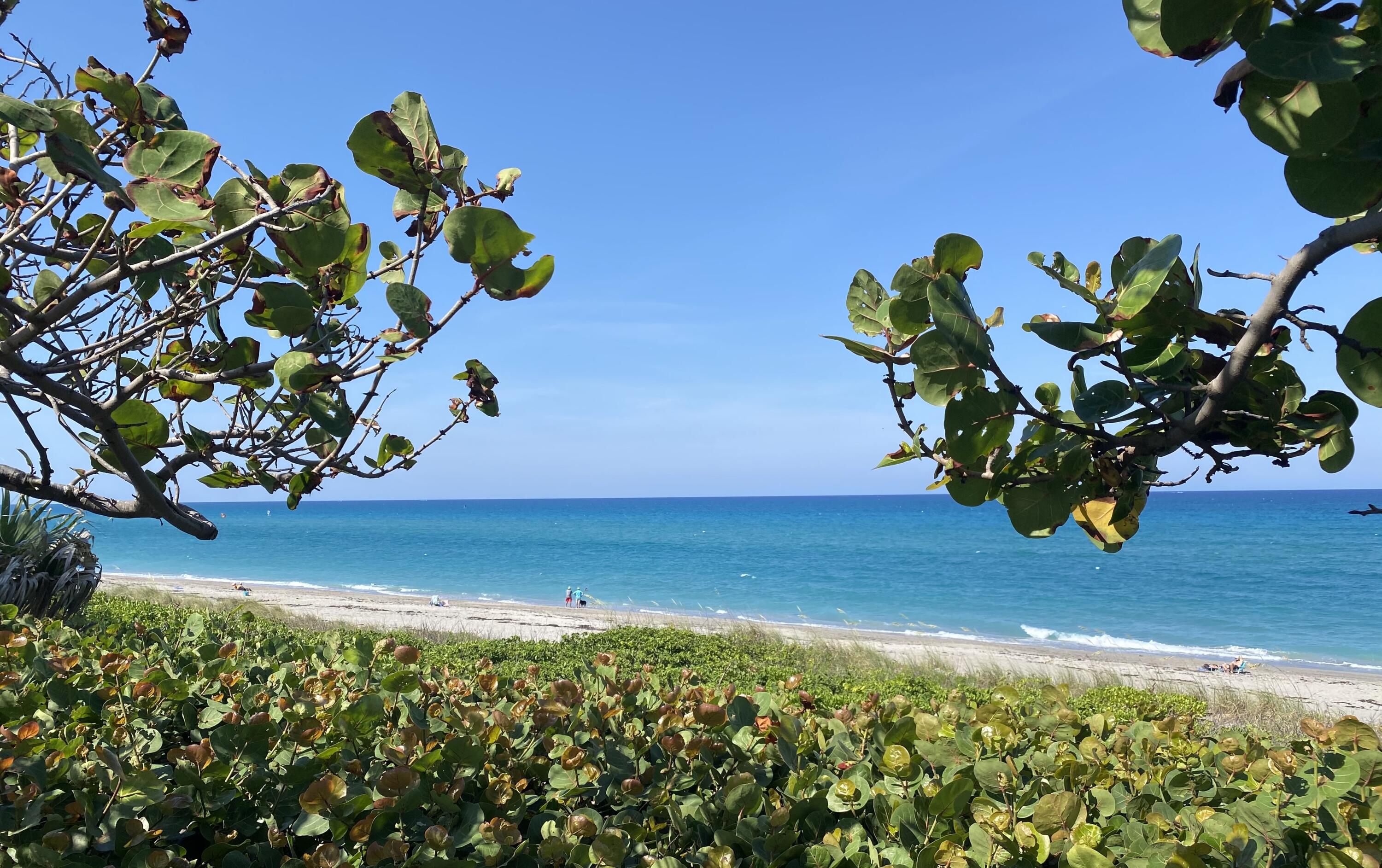 225 Clocktower Drive Jupiter, FL 33458 - Photo 32 of 40 Beach