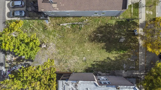 a view of a yard with plants