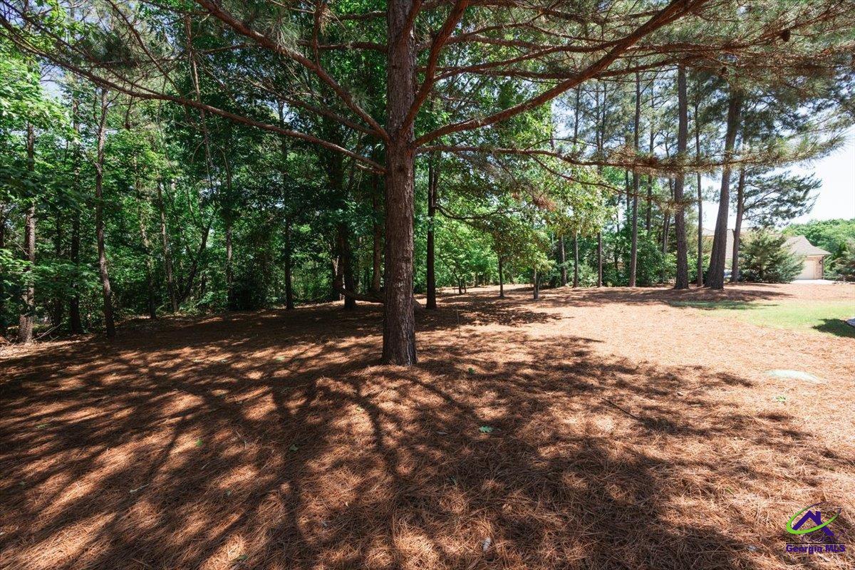 105 Freedom Drive Forsyth, GA 31029 - Photo 44 of 63