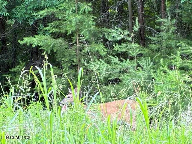 $69,900 | Lot 17 Waterstone Drive, Dandridge, TN 37725