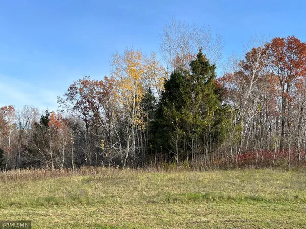 $28,710 | Lot 7 Wilderness Hills Lane, Luck, WI 54853