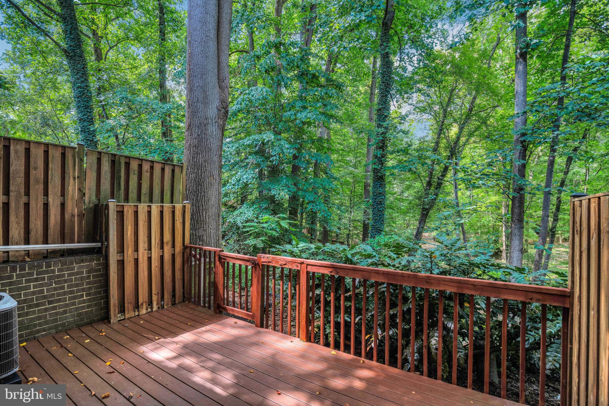 8048 Sandy Spring Road Laurel, MD 20707 - Photo 24 of 26 Gallery Image 24