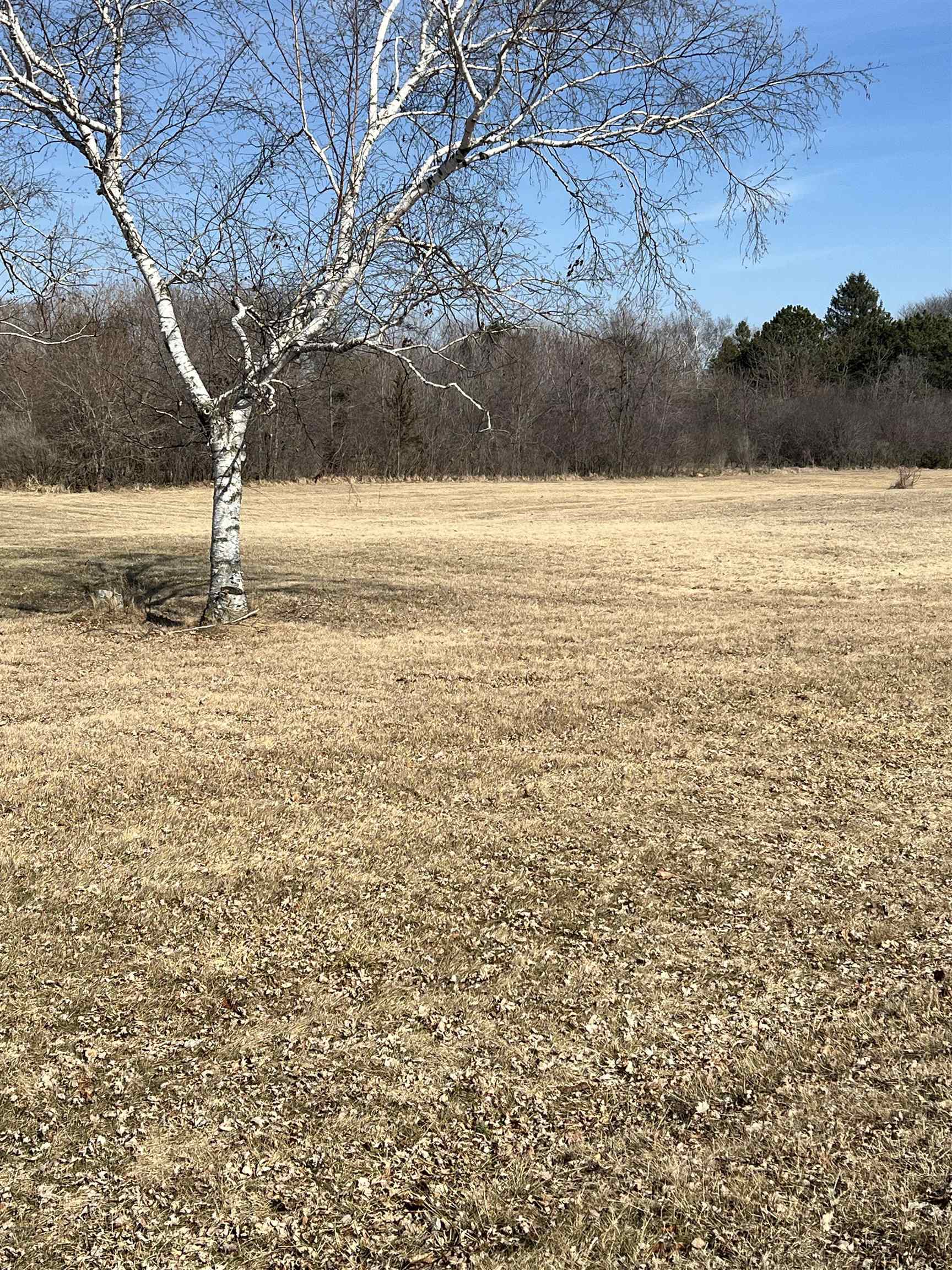8246 North Crystal Lake Road Beaver Dam, WI 53916 - Photo 5 of 6