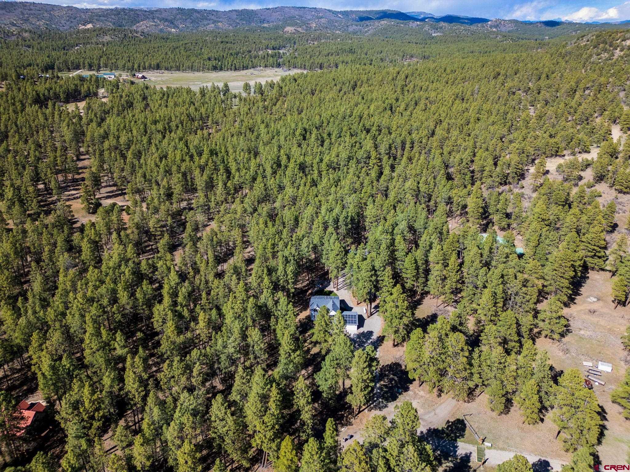 685 Fantango Road Durango, CO 81301 - Photo 35 of 41