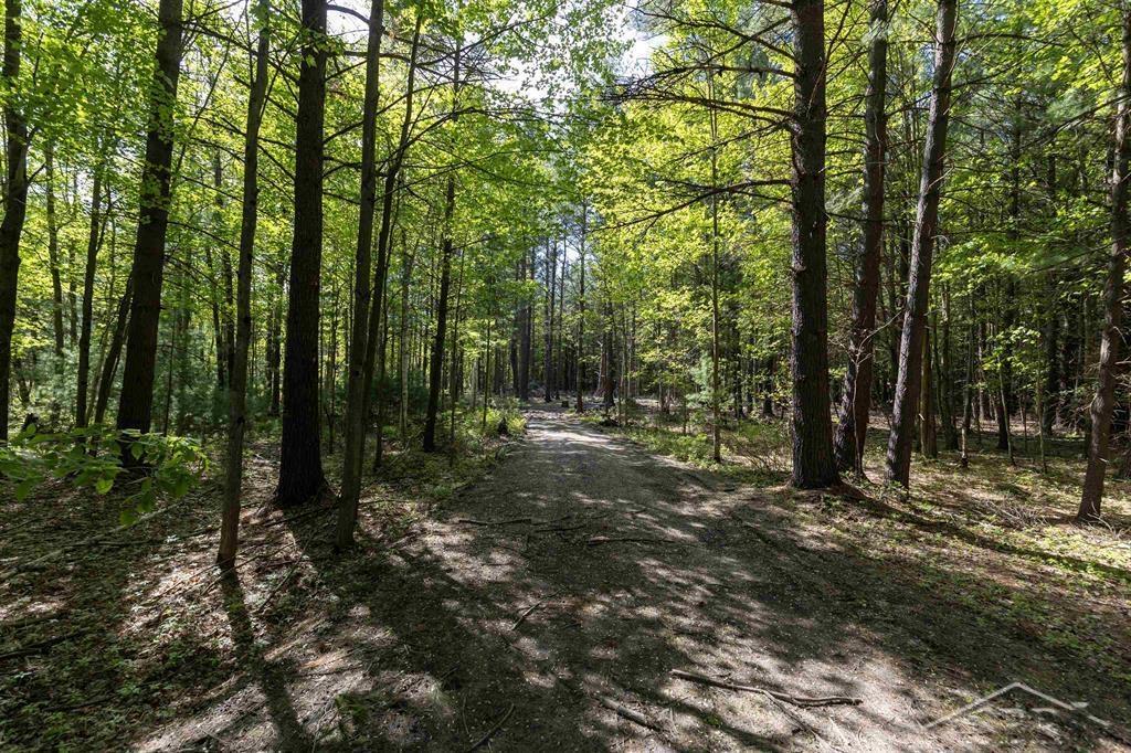 Vl North Meridian Road Sanford, MI 48657 - Photo 1 of 6 Gallery Image 1