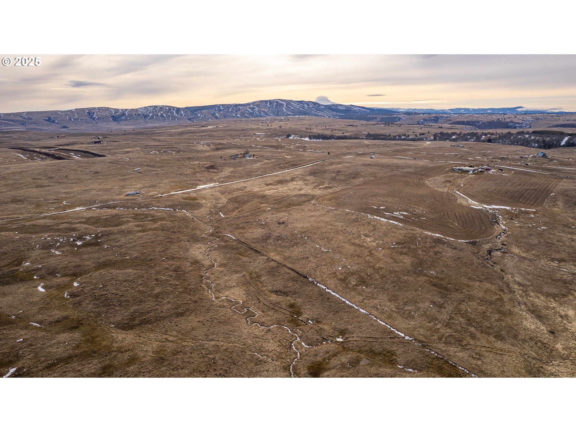 969 Finn Ridge Road Centerville, WA 98613 - Photo 4 of 8