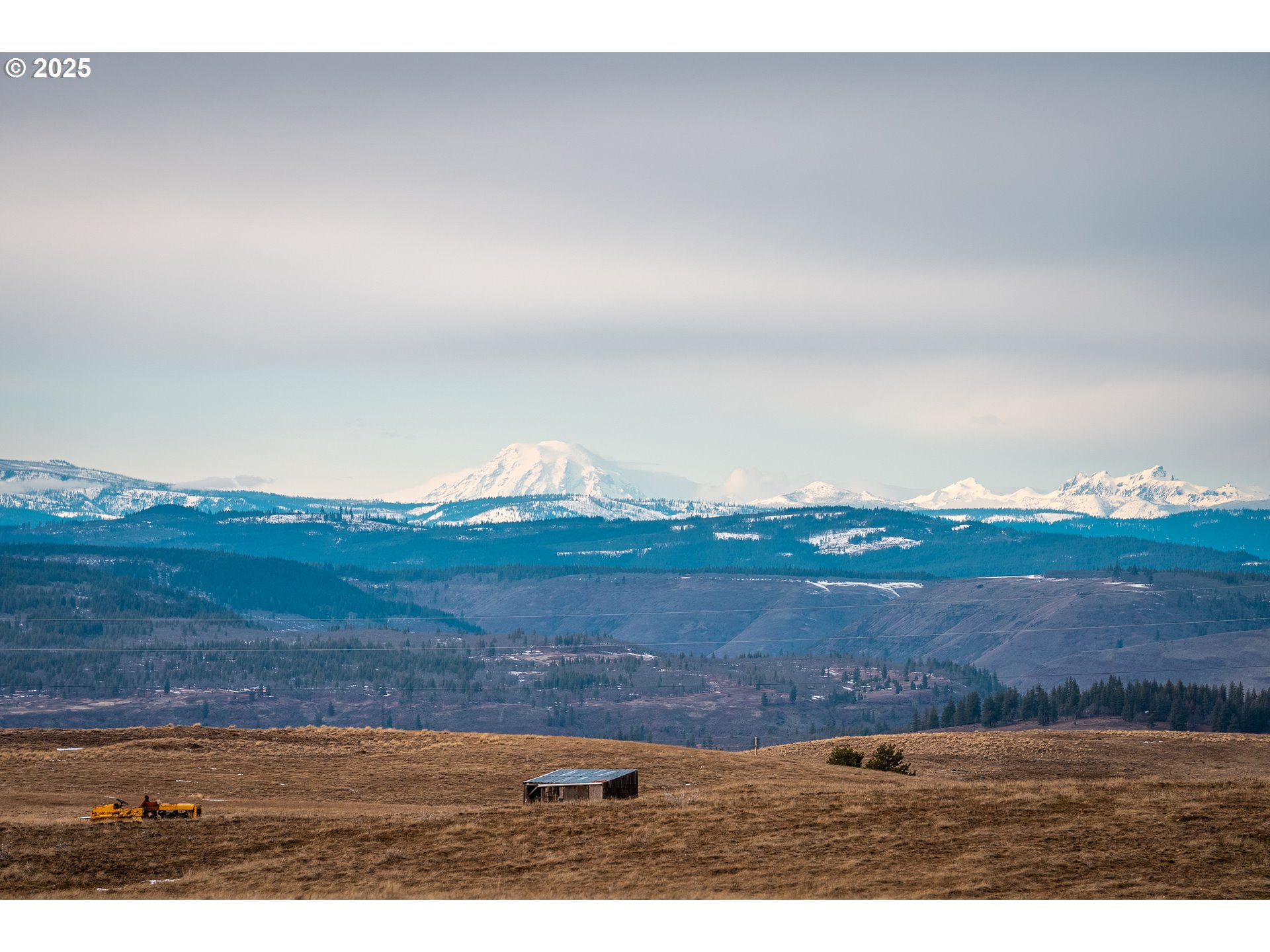 969 Finn Ridge Road Centerville, WA 98613 - Photo 8 of 8