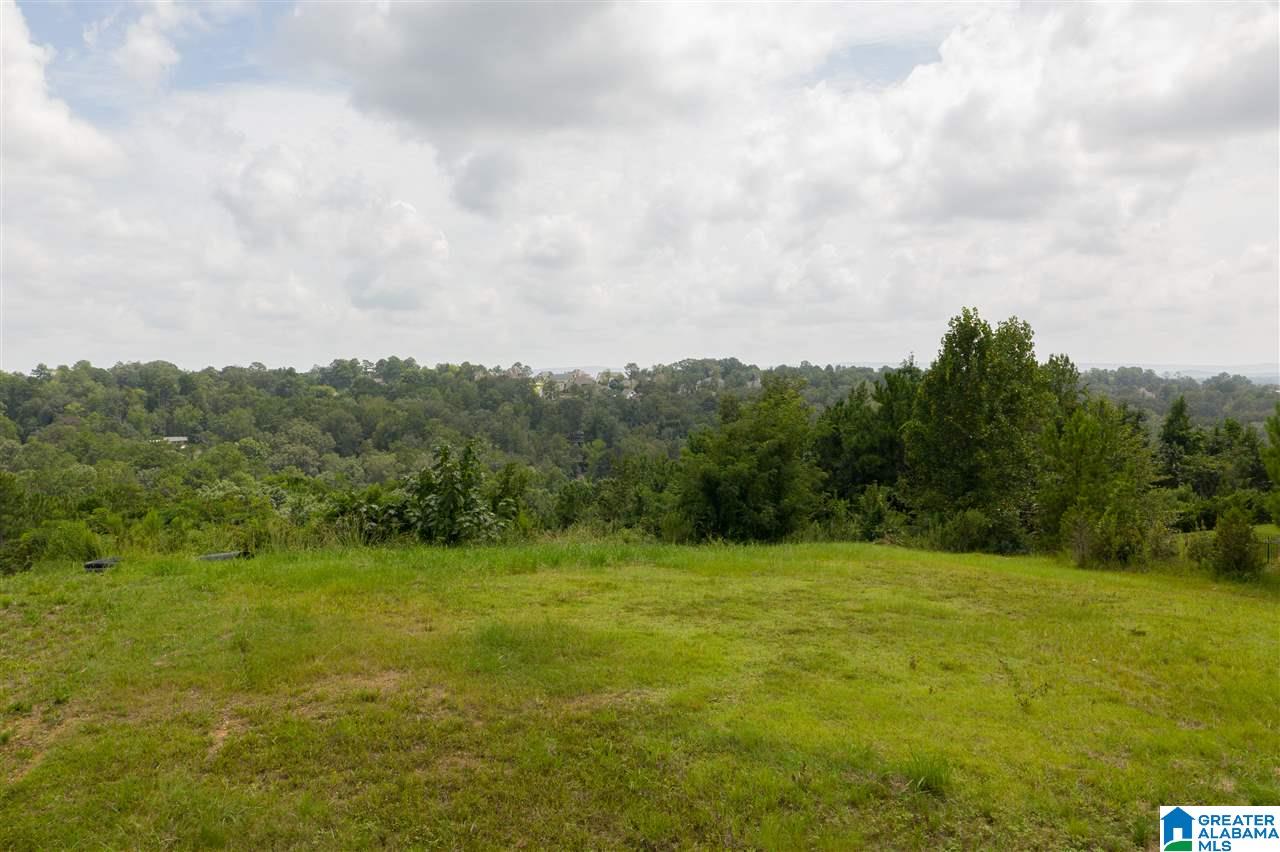 2615 Dolly Ridge Road, Unit 2615 Birmingham, AL 35243 - Photo 3 of 10