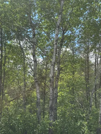 $51,704 | On On Cth Y, Unit LOT 4 JNS, Tomahawk, WI 54487