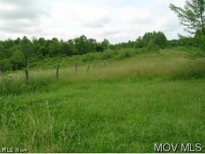 798 Mayle Ridge Road Cutler, OH 45724 - Photo 3 of 5