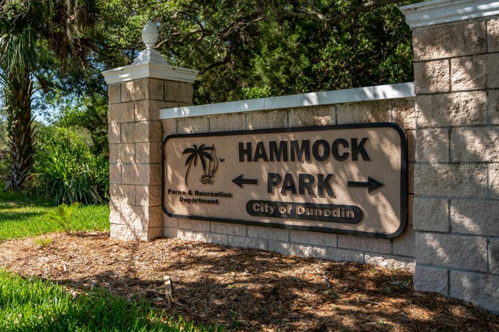 1701 Pinehurst Road, Unit 23G Dunedin, FL 34698 - Photo 49 of 60
