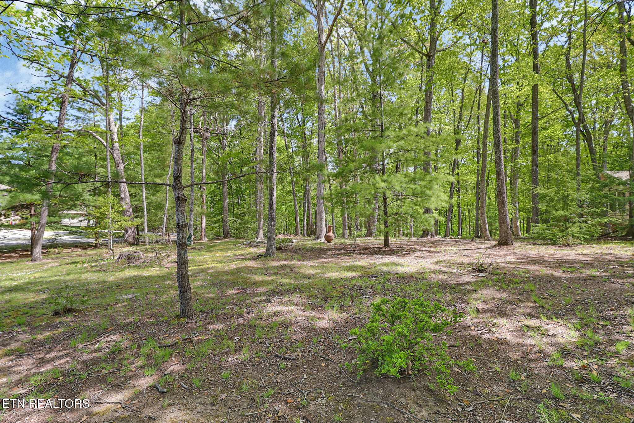 12 Ridgecrest Circle Crossville, TN 38558 - Photo 52 of 52 LOT INCLUDED 14 RIDGE CREST