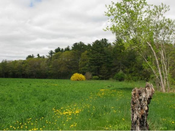 84 Bennett Road Durham, NH 03824 - Photo 1 of 1
