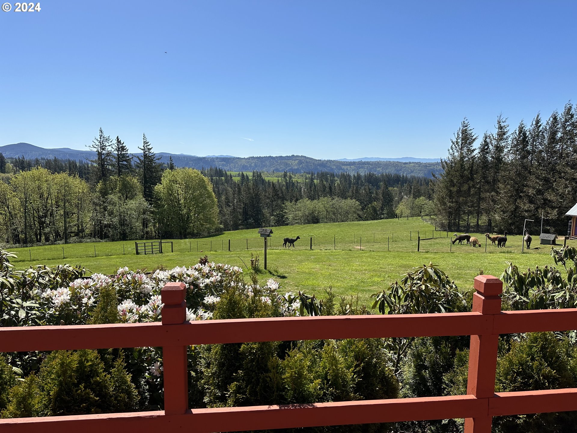40101 Southeast Gibson Road Washougal, WA 98671 - Photo 24 of 45 Backyard