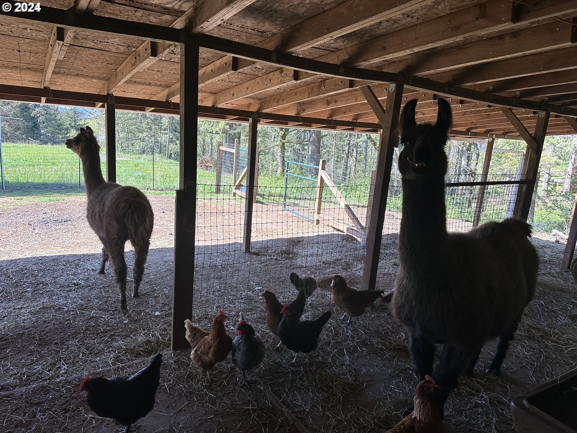 40101 Southeast Gibson Road Washougal, WA 98671 - Photo 40 of 45 Barn
