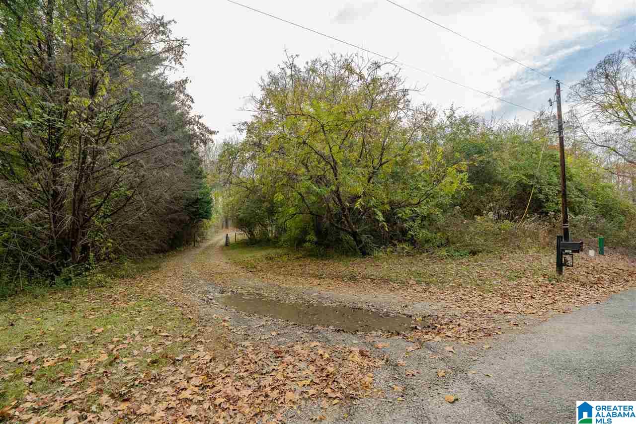 1169 Raywood Road Woodstock, AL 35188 - Photo 8 of 50