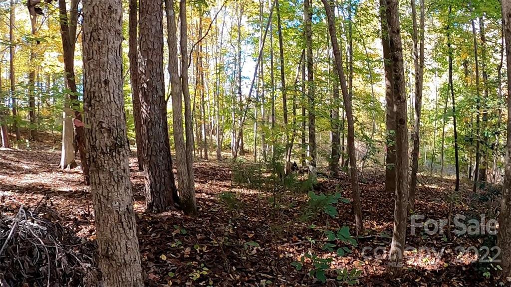 0 Painters Gap Road Rutherfordton, NC 28139 - Photo 11 of 20 a view of forest