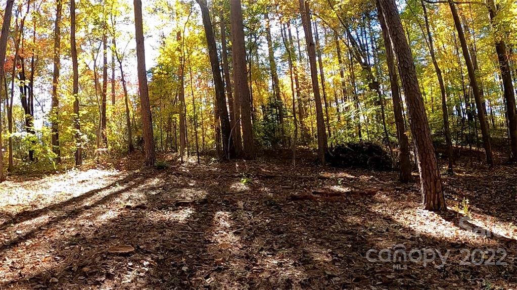 0 Painters Gap Road Rutherfordton, NC 28139 - Photo 13 of 20 a backyard of a house with lots of green space
