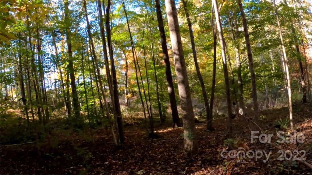 0 Painters Gap Road Rutherfordton, NC 28139 - Photo 20 of 20 a view of forest