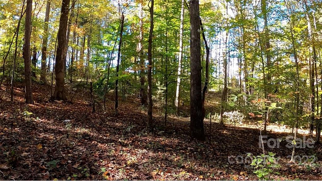 0 Painters Gap Road Rutherfordton, NC 28139 - Photo 4 of 20 a view of forest
