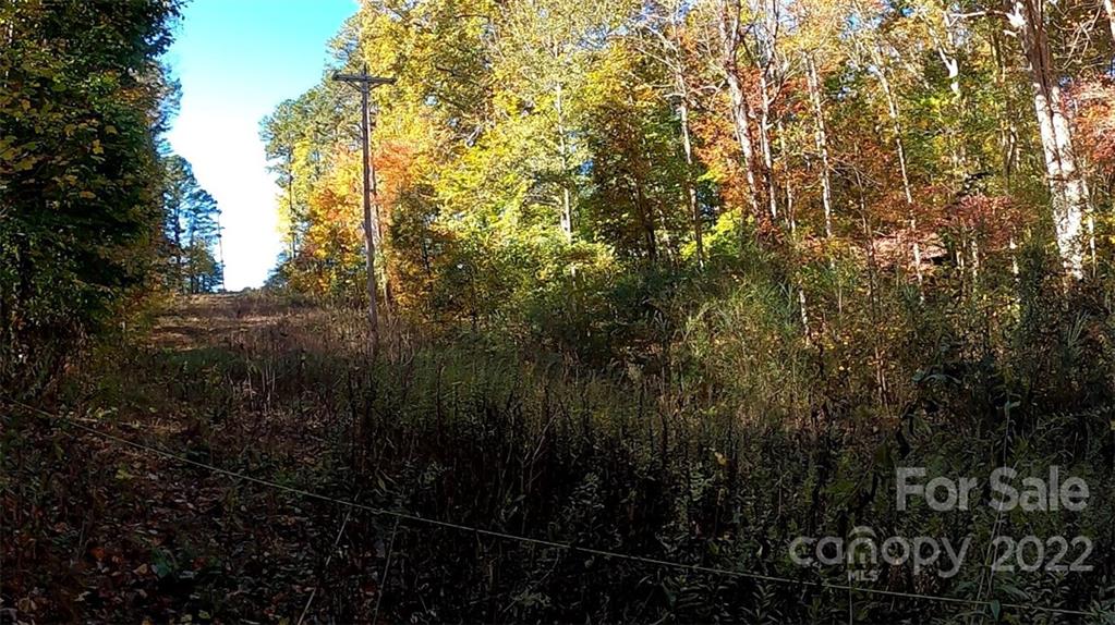 0 Painters Gap Road Rutherfordton, NC 28139 - Photo 9 of 20