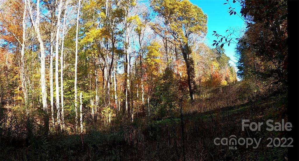 0 Painters Gap Road Rutherfordton, NC 28139 - Photo 10 of 20 a view of outdoor space and garden