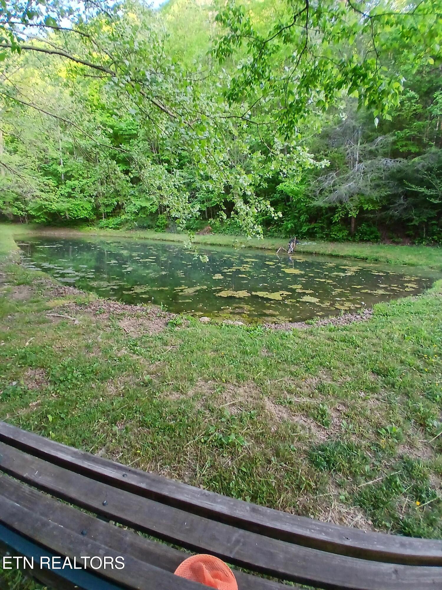 469 Brownlo Road Sneedville, TN 37869 - Photo 52 of 58 20260427_191347