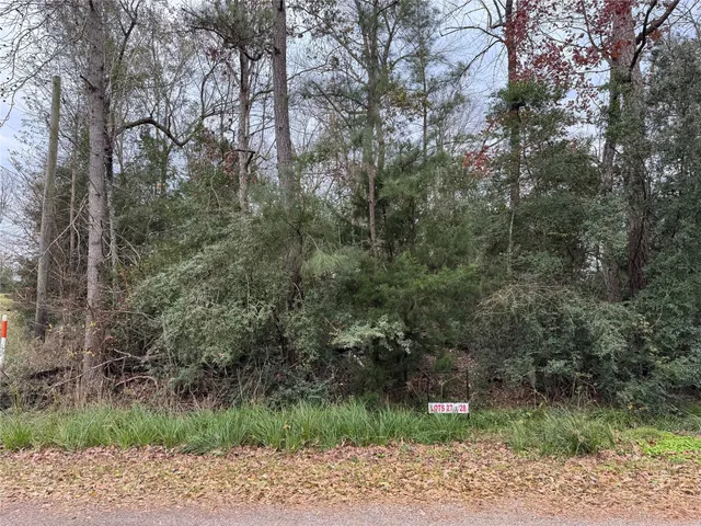 $29,500 | Lot 27-28 Dove Island, Livingston, TX 77351