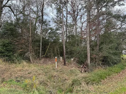 $29,500 | Lot 27-28 Dove Island, Livingston, TX 77351