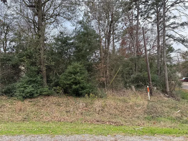 $29,500 | Lot 27-28 Dove Island, Livingston, TX 77351