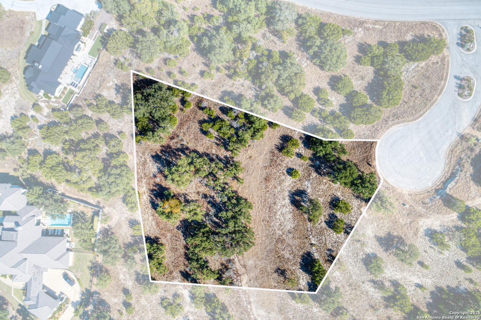 11 Wynstone Boerne, TX 78006 - Photo 17 of 34 a view of a plant in a garden