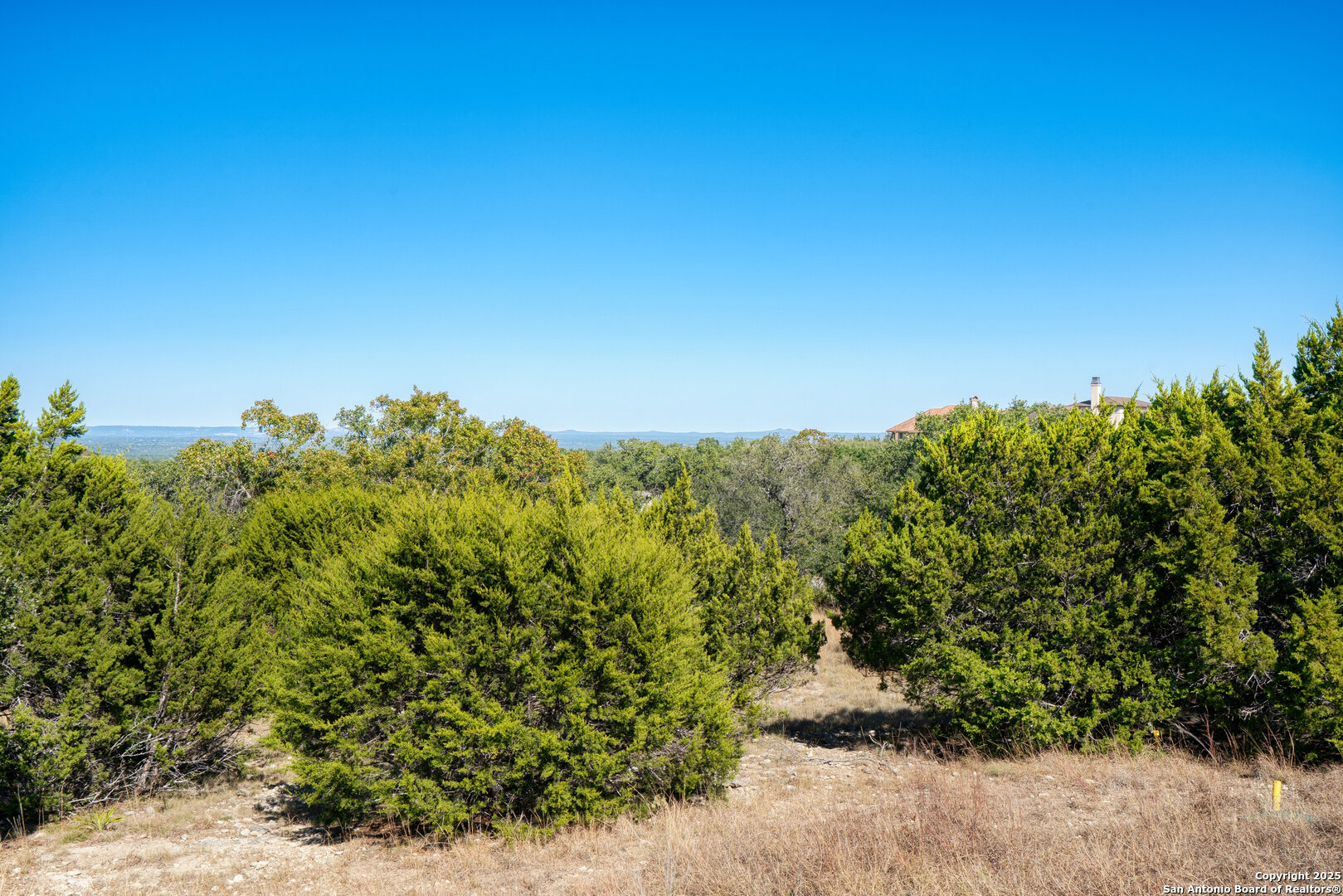 11 Wynstone Boerne, TX 78006 - Photo 2 of 34 a view of a garden