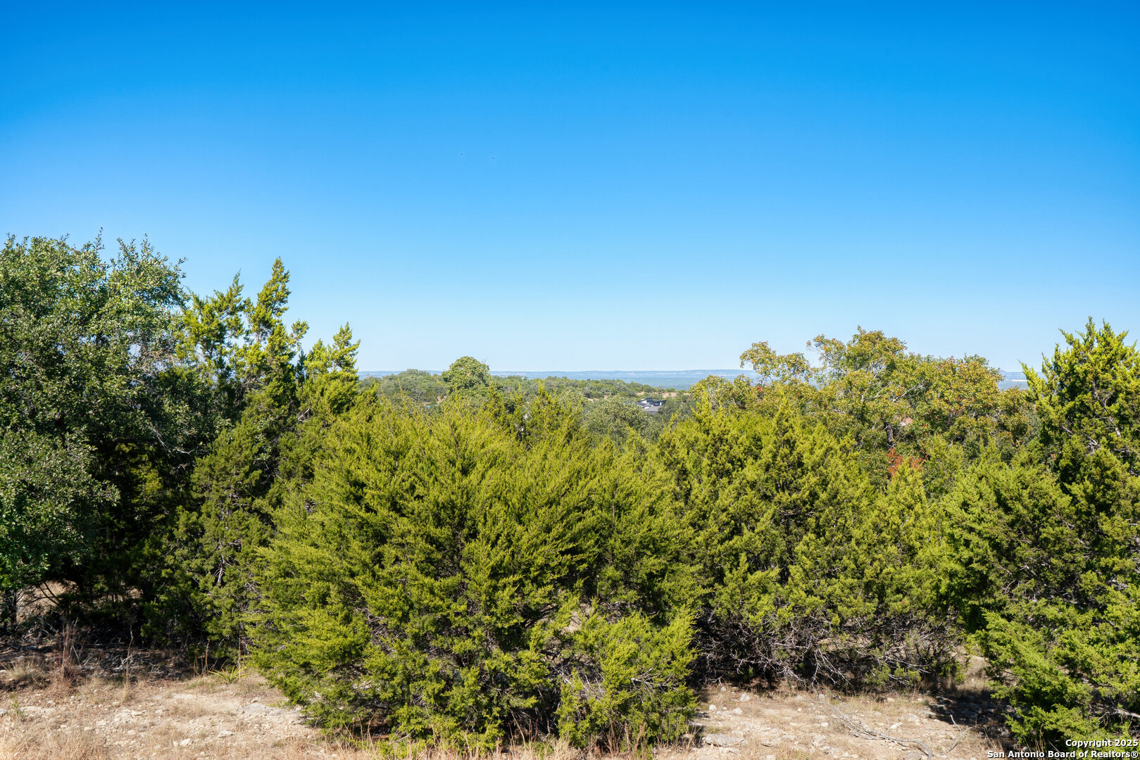 11 Wynstone Boerne, TX 78006 - Photo 3 of 34 a view of a large yard with lots of green space