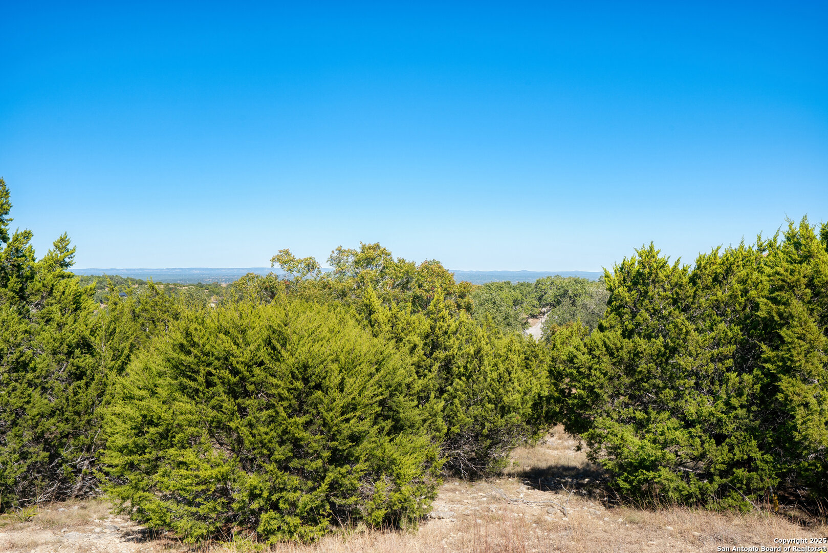 11 Wynstone Boerne, TX 78006 - Photo 4 of 34 a view of a large garden with plants and large trees
