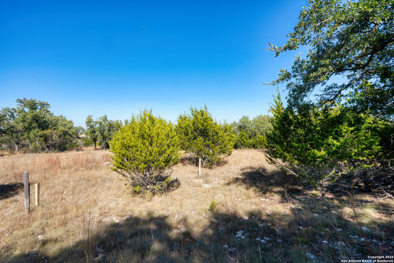11 Wynstone Boerne, TX 78006 - Photo 6 of 34 a view of a tree