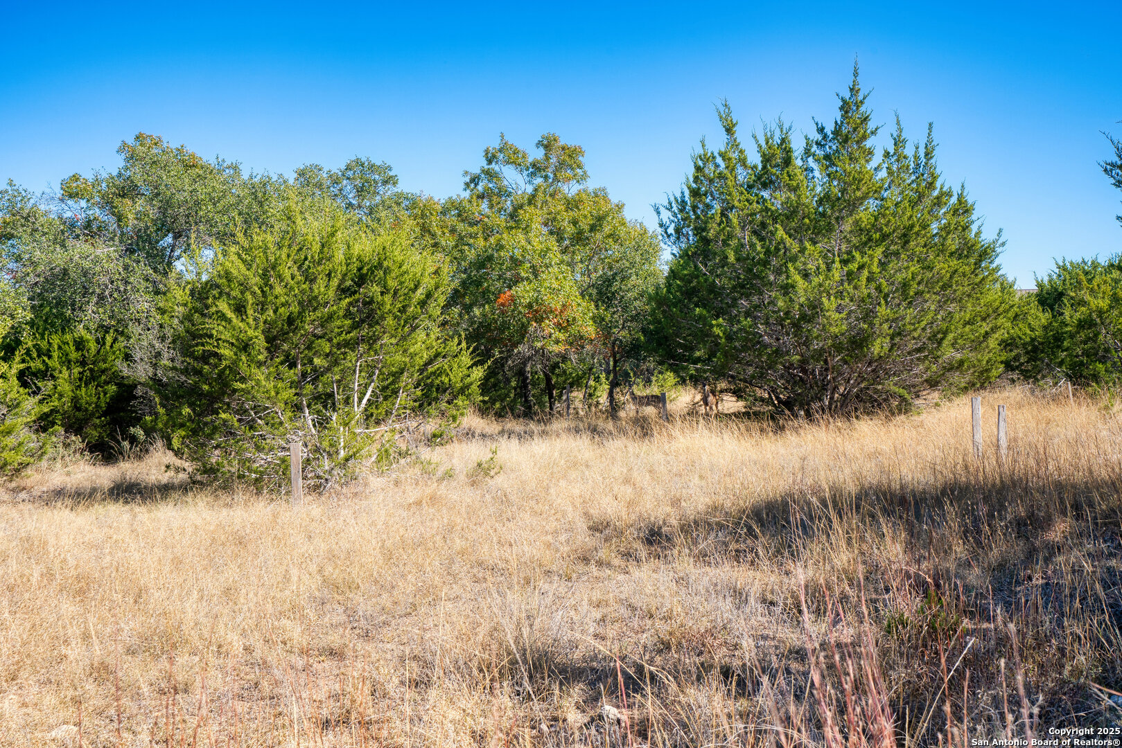 11 Wynstone Boerne, TX 78006 - Photo 7 of 34 a view of a yard covered with trees