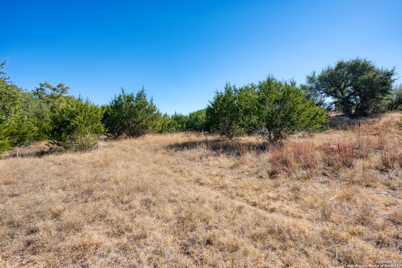 11 Wynstone Boerne, TX 78006 - Photo 9 of 34 a view of a dry yard with a tree
